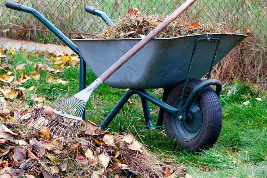 Efter�rshaven i oktober byder stadig p� opgaver