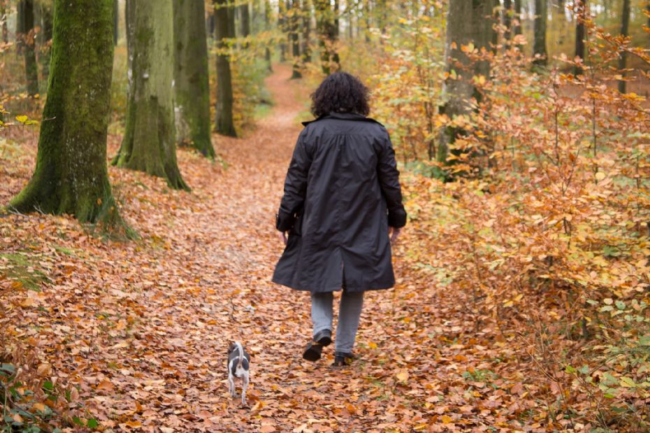 Tr�erne g�r klar til efter�rsstormene