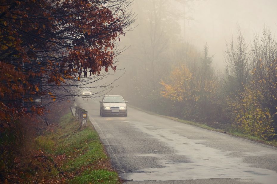 Tag dig i agt i efter�rsf�ret