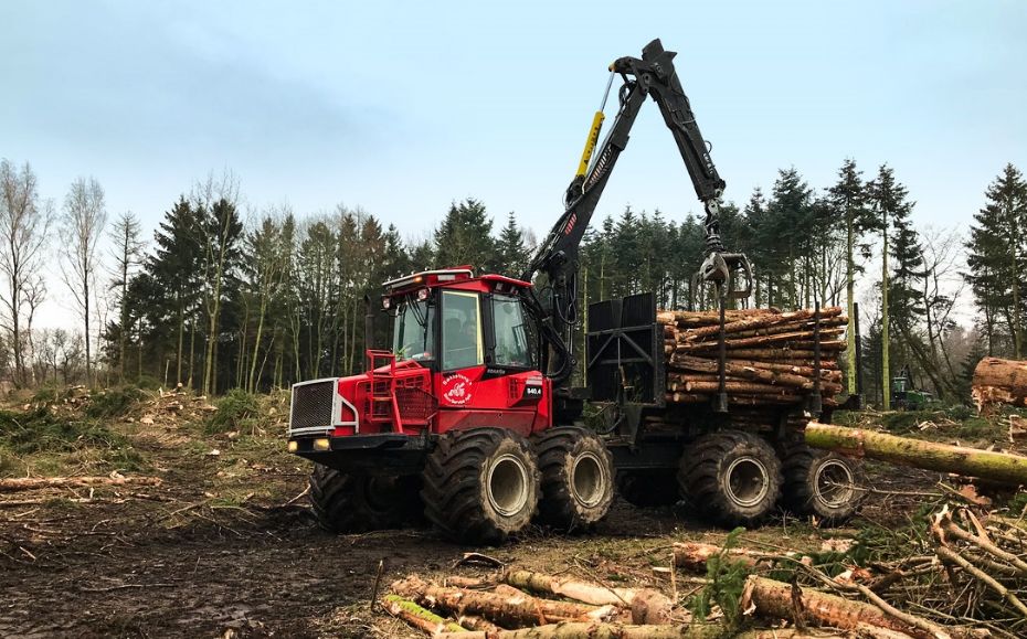 Bornholms skove oml�gges mod mere naturlig udvikling