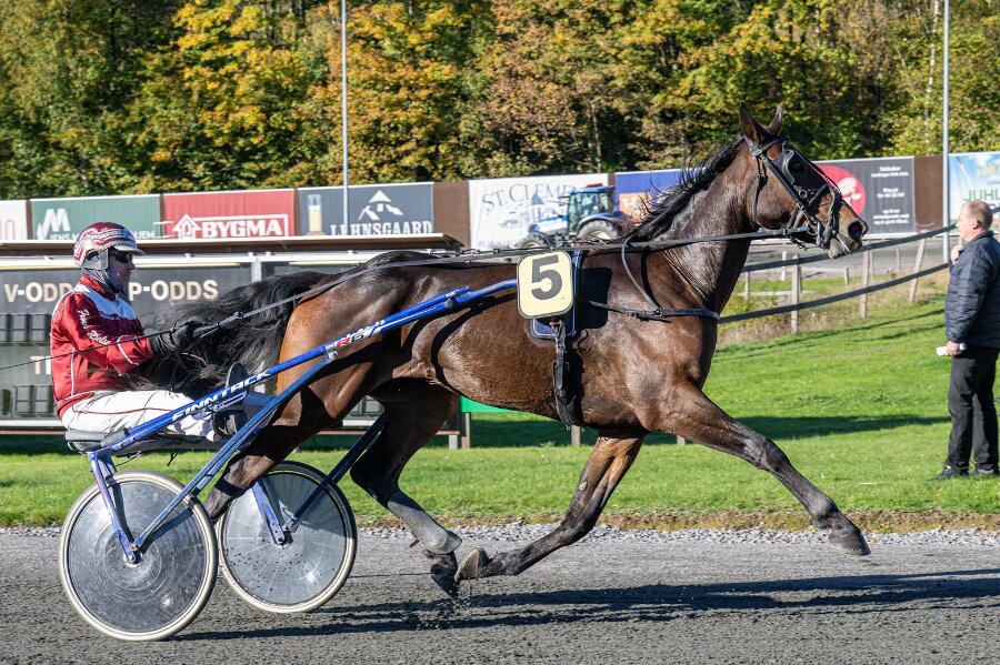 Lau Silk skrev historie p� Bornholms Brand Park