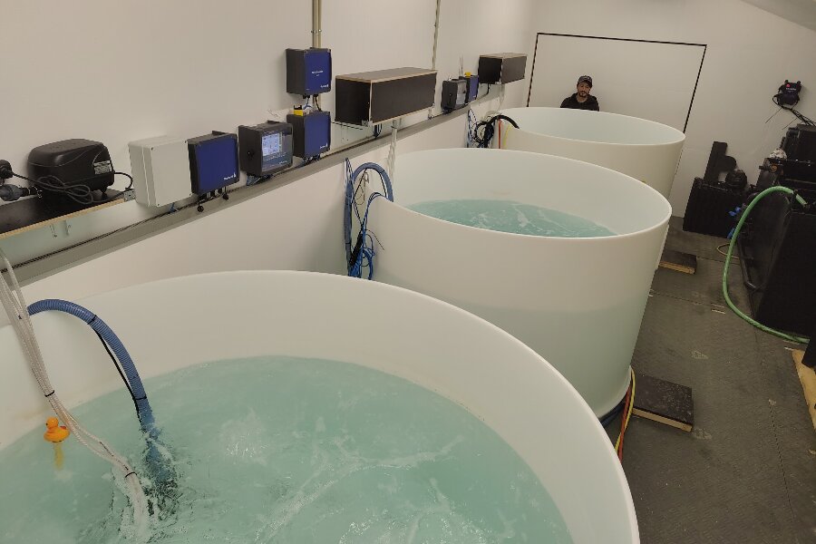 Nex� f�r Danmarks f�rste lokale rejeproduktion