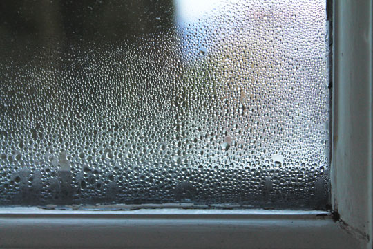 Fugt i boligen kan v�re farligt