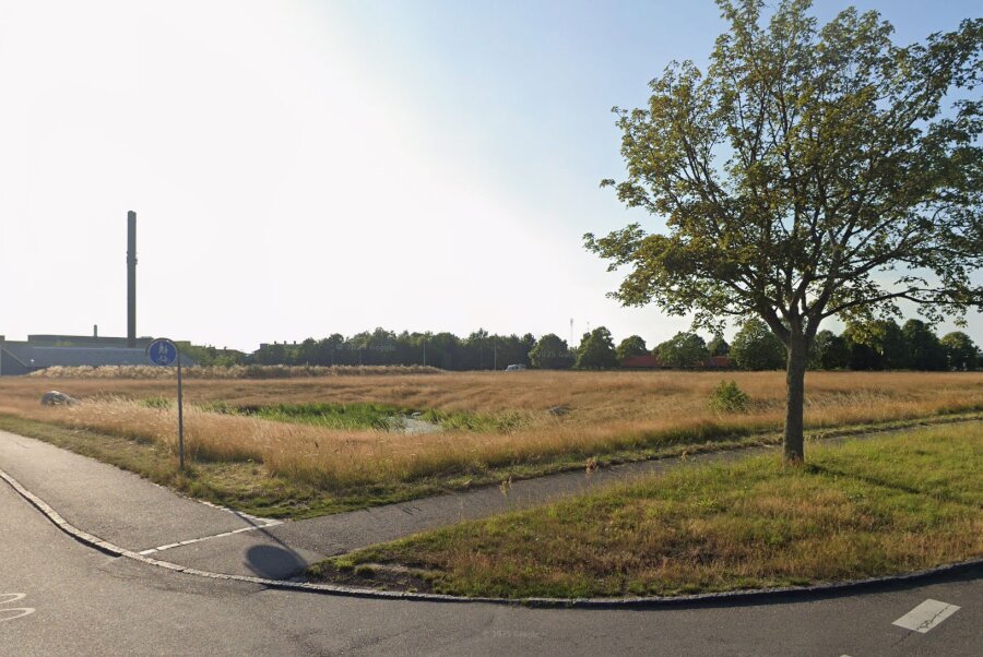 Paradishaven bliver tr�huse med lavt klimaaftryk