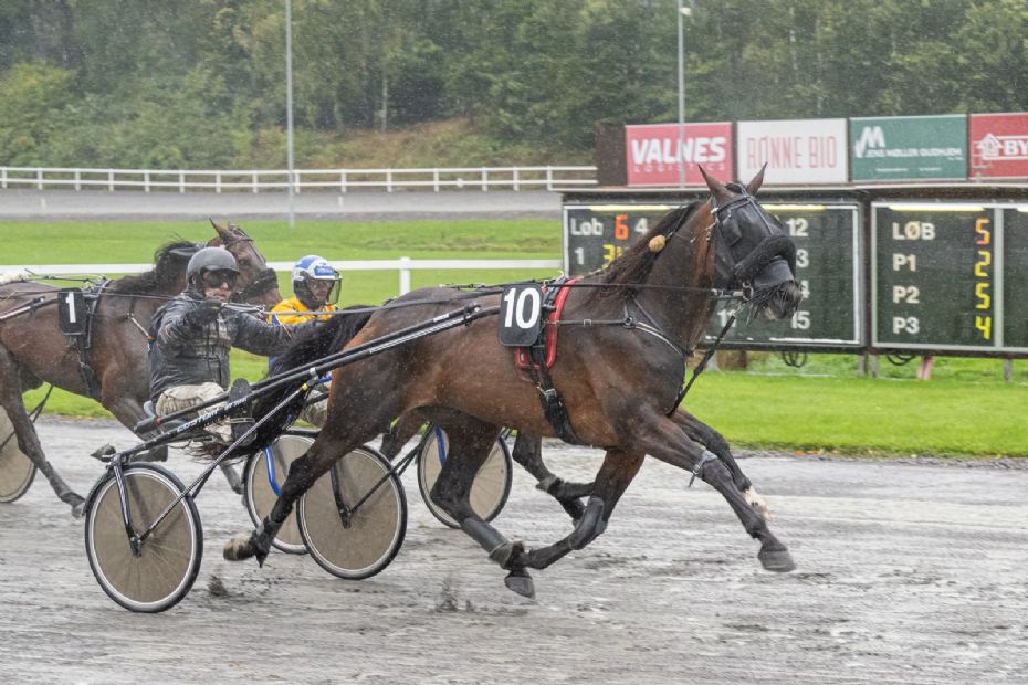 Fr�ns Hjortsh�j blev �rets Hest p� Bornholm 