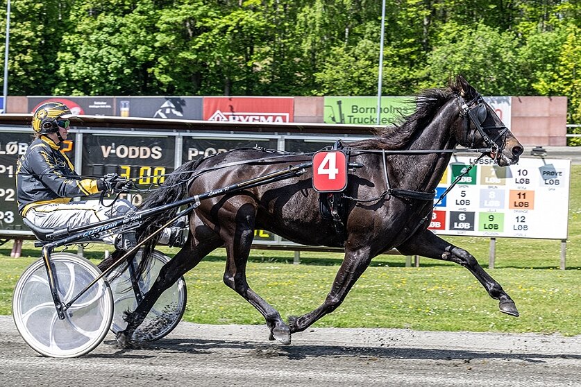 Joker til Laura Pedersen