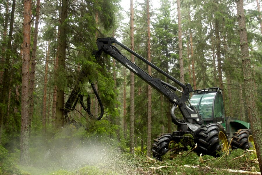 Skovhugsten er tilbage p� normalt niveau