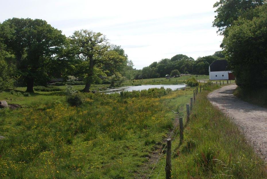 Naturstyrelsen udvider naturpleje