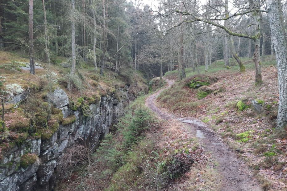 Udvalg skal beslutte proces for Nature Park Bornholm