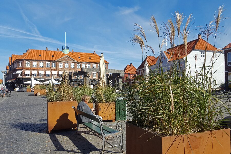 Tilskud til bog om Store Torvs arkitektur