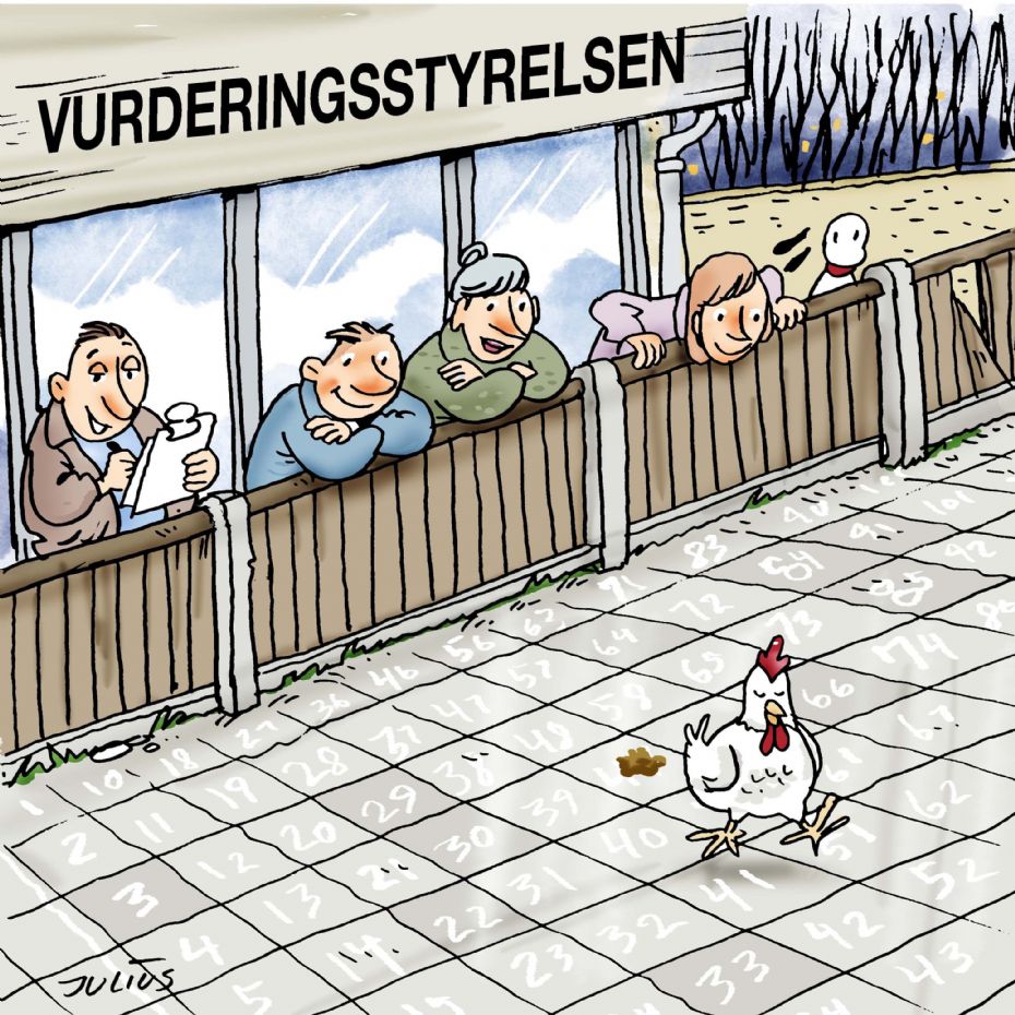 Vurderingsstyrelsen