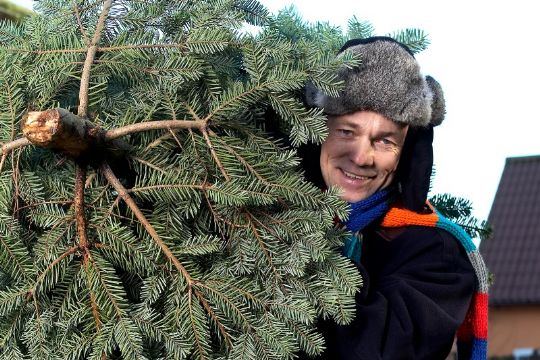 S�dan kan juletr�et bruges efter jul