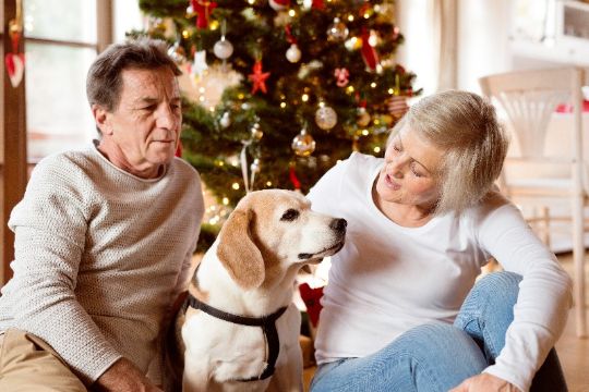 Hunden skal ikke have julemad