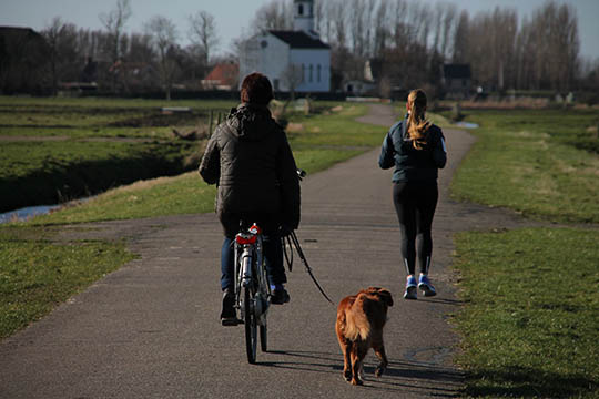 S�dan l�rer du hunden at l�be med ved cyklen