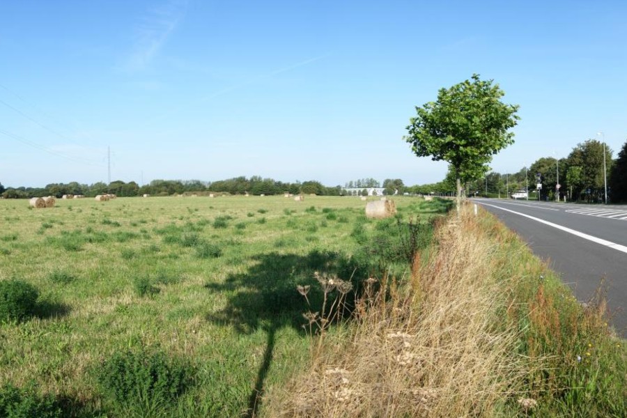 Boksbutikker lune p� omr�de ved Vibeg�rd