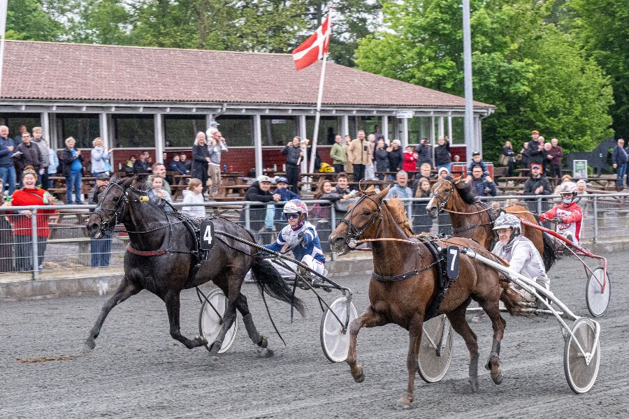 Hoppemesterskab k�res 15. maj