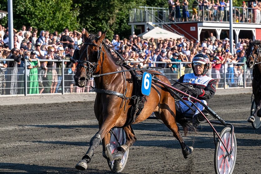 Lavere præmier for Niels Kristian Hansen