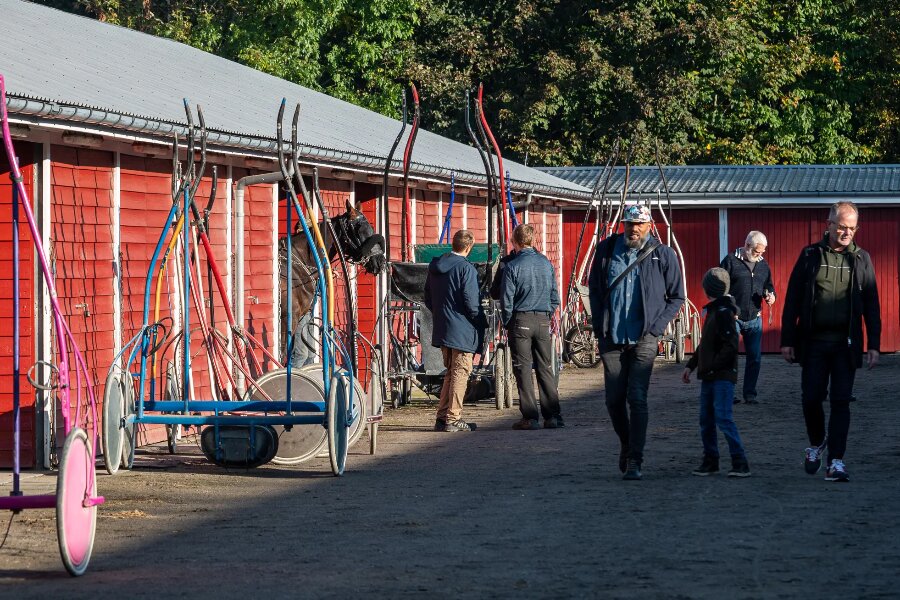 Bornholms Travselskab har ansat en v�kstpilot