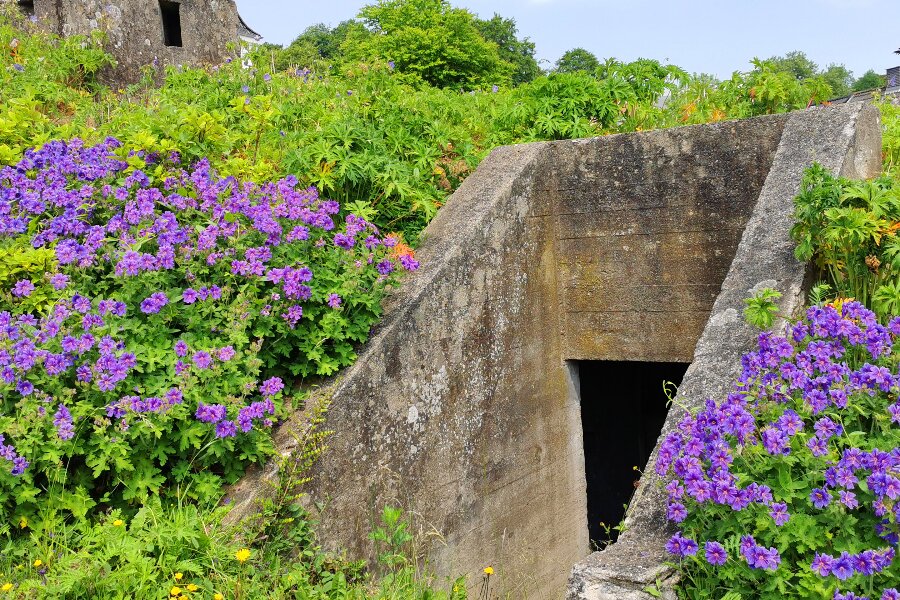 Kun halvdelen af borgerne har adgang til beskyttelsesplads