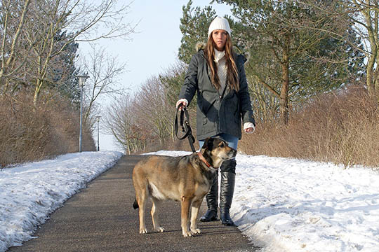 Jul og slankekur g�r d�rligt i sp�nd