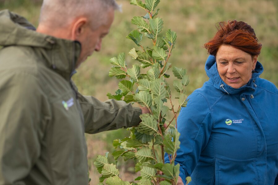 Bornholm forbig�et i ny skovpulje