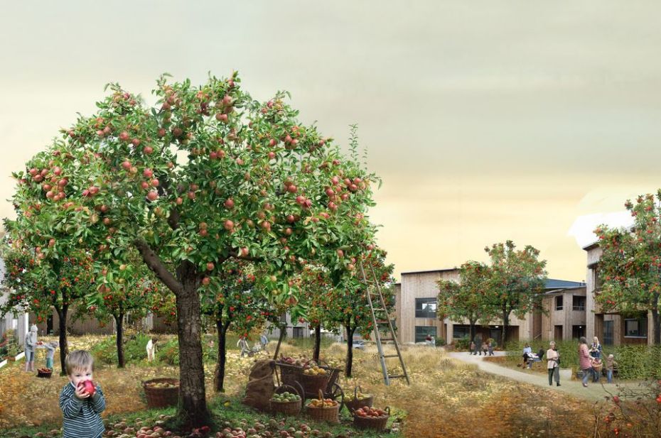 Selskab bag nye lejeboliger med underskud