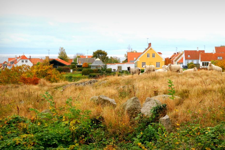 Boligejere f�r besked om grundskyld