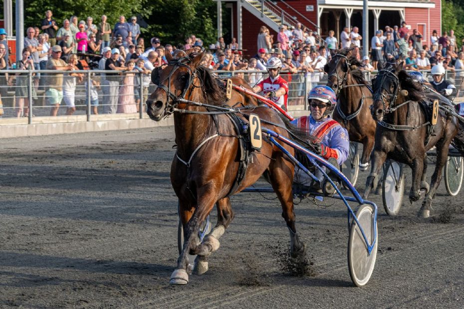 Tre lokale heste klar til Amat�r Elite Cup-finale