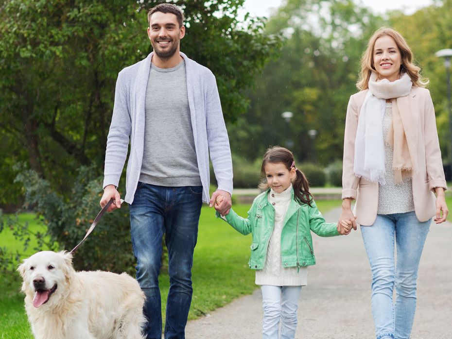 K�ledyr g�r os gladere