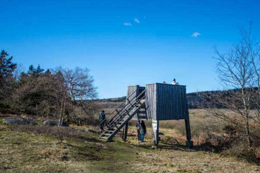 Nyt udsigtst�rn planlagt i Almindingen