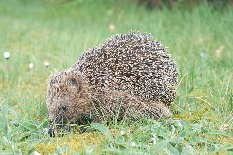 G�r haven klar til dyrene i vinterhalv�ret