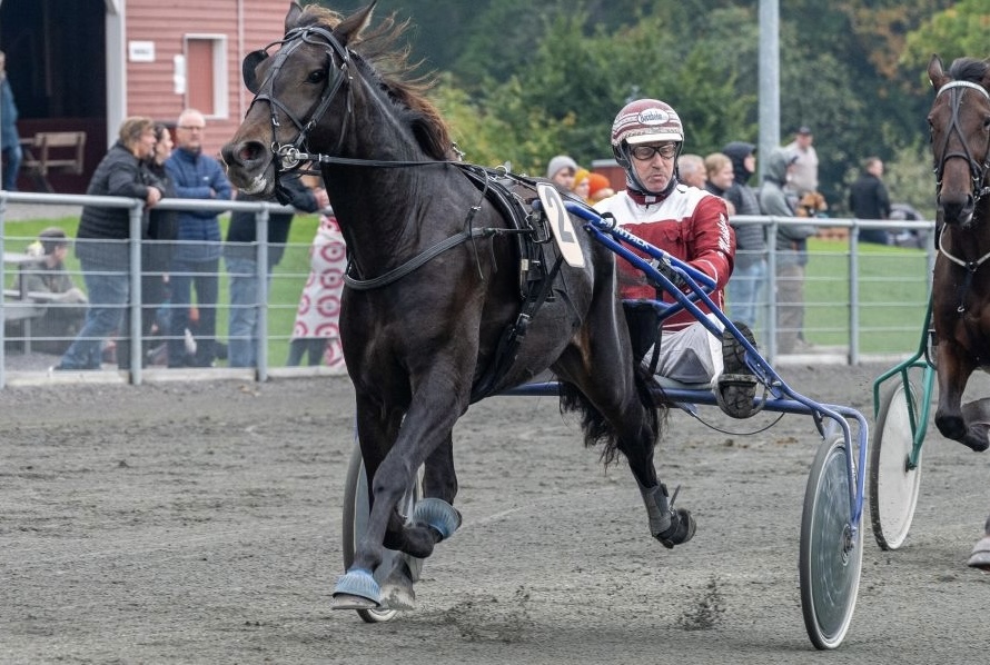 Gunvor Silk tredje i Halmstad