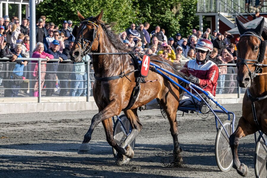 Bonny Boy udbyggede f�ringen i Golden League