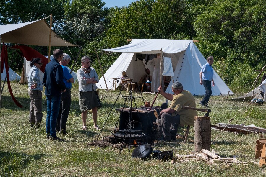 Vikingeforening opl�st