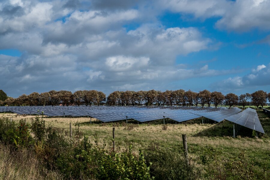 Solcellepark skal skjules bag hegn af tr�er