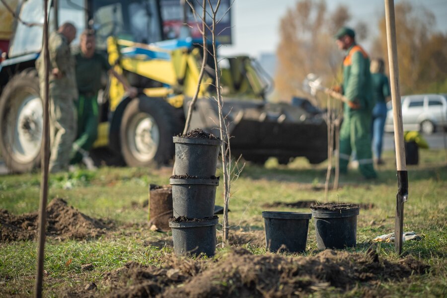 Mere skov p� Bornholm � men ikke for enhver pris