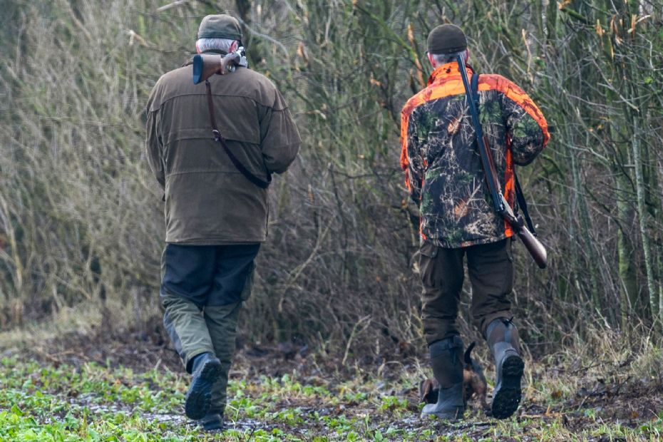 Mere nedlagt vildt end sidste �r