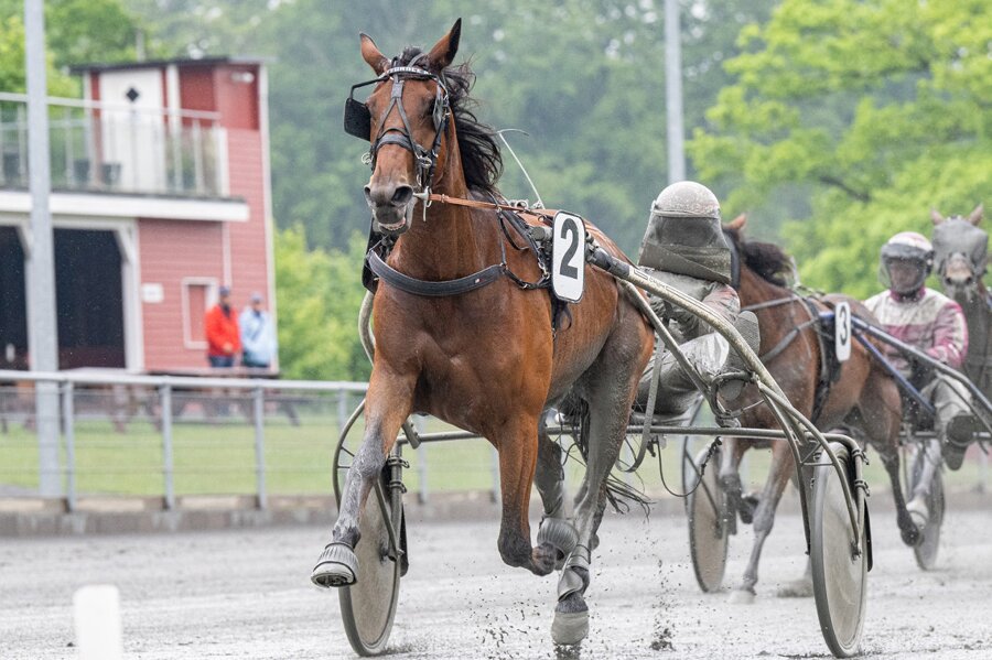 Travl�b aflyst p� Bornholms Brand Park