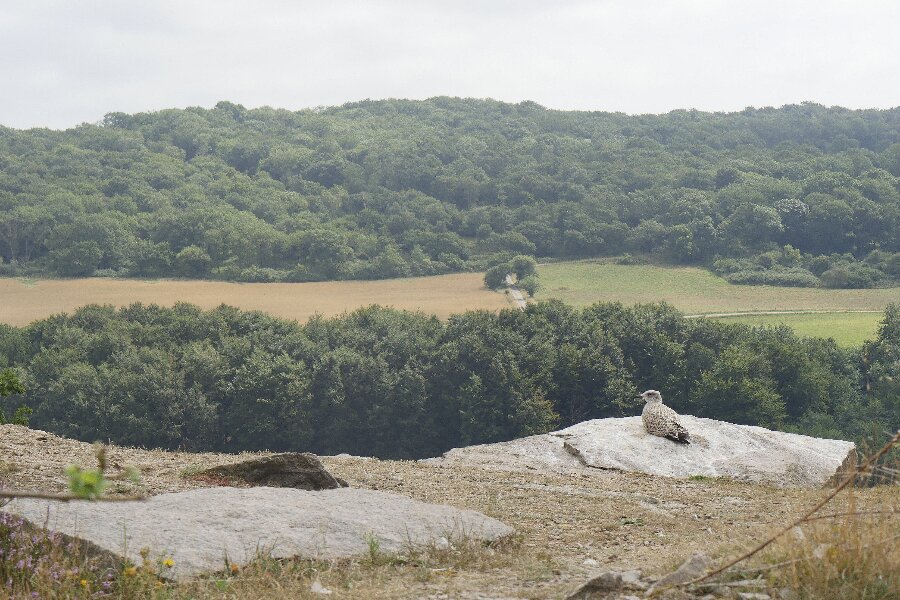 Nyt naturprojekt kan styrke lokalsamfund