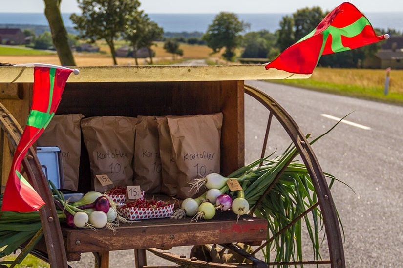 Bornholm vil tiltrække flere iværksættere