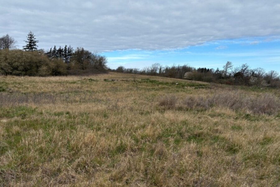 Sommerhusplan ved Allinge �ndres efter offentlig h�ring