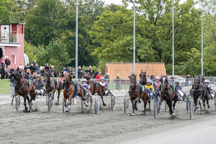 Bonny Boy fastholder Golden League-f�ringen