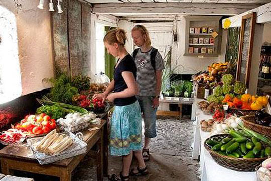 Smag & Lyd festivalen får madkultur i centrum