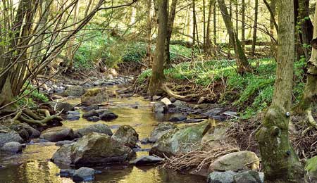 Elfiskeri skal kortl�gge �rredbestande