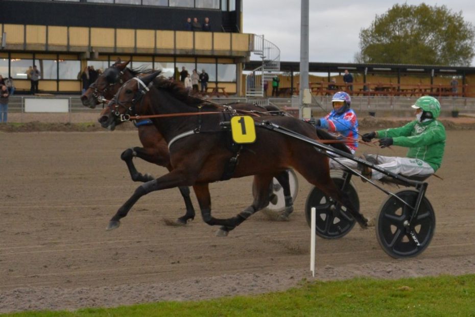 Bornholmerhesten fortsat popul�r