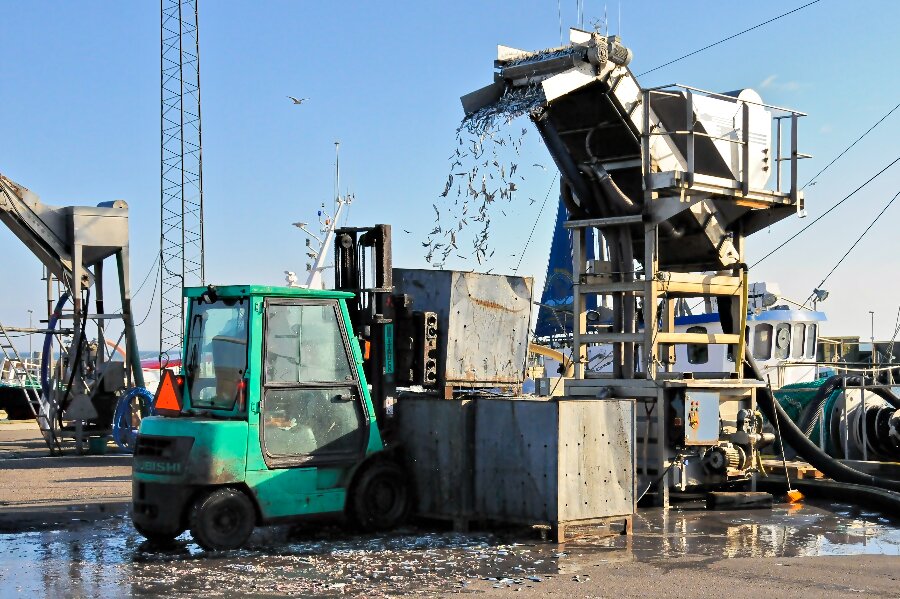 Polske fiskere dropper landinger i Nex� Havn