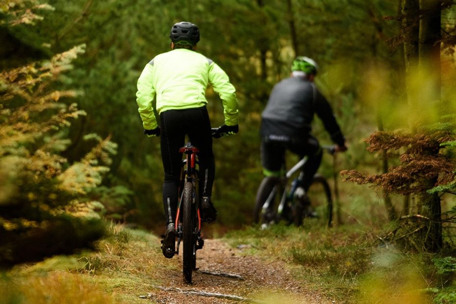 Brede d�k giver fart og frihed i skoven