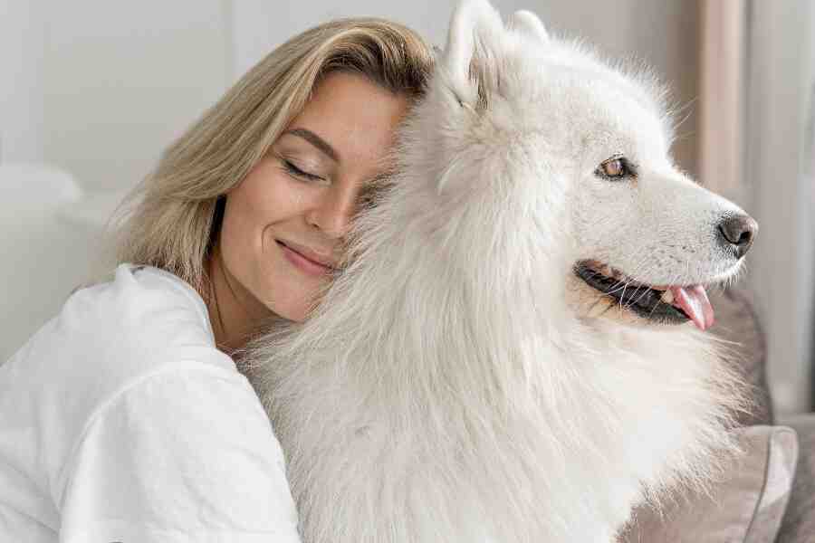 Hunden ikke altid menneskets bedste ven