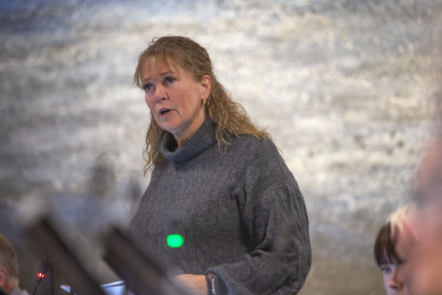 Linda Kofoed Persson tager orlov fra politik