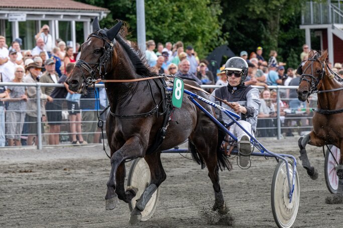 Travprofilen John Mikkelsen fylder 60 �r